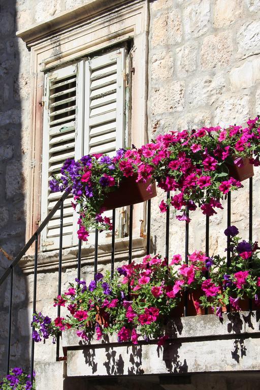 Pinna Hvar Apartmán