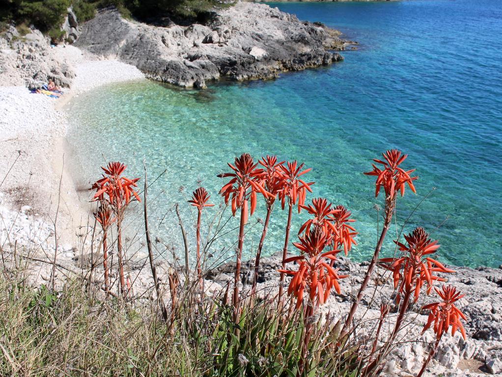 Pinna Hvar Apartament